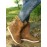 Casual Leopard Snake Print Lace-up Print Boots